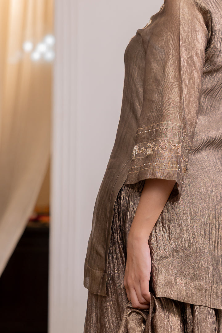 Chandni Sharara Kurta Set