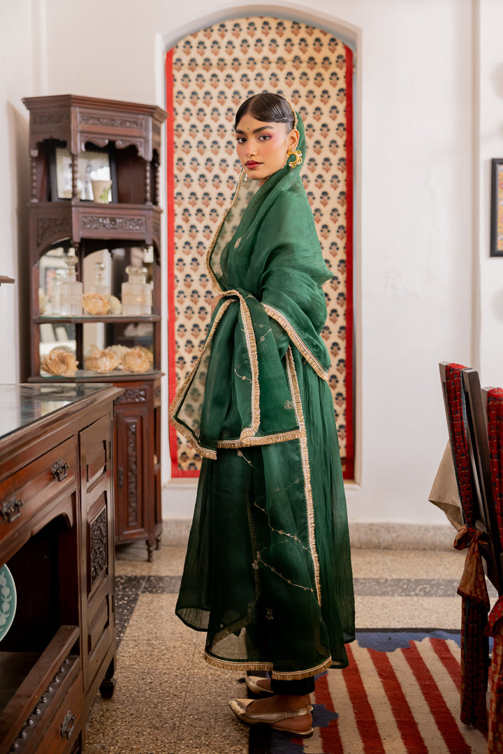 Organza dupatta