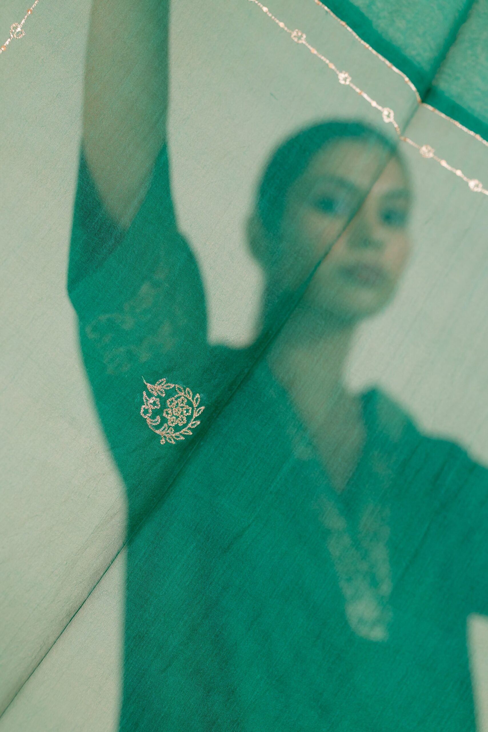 Rajrani Organza Dupatta - Green