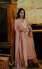 Mayur Organza Dupatta - Biscuit Beige