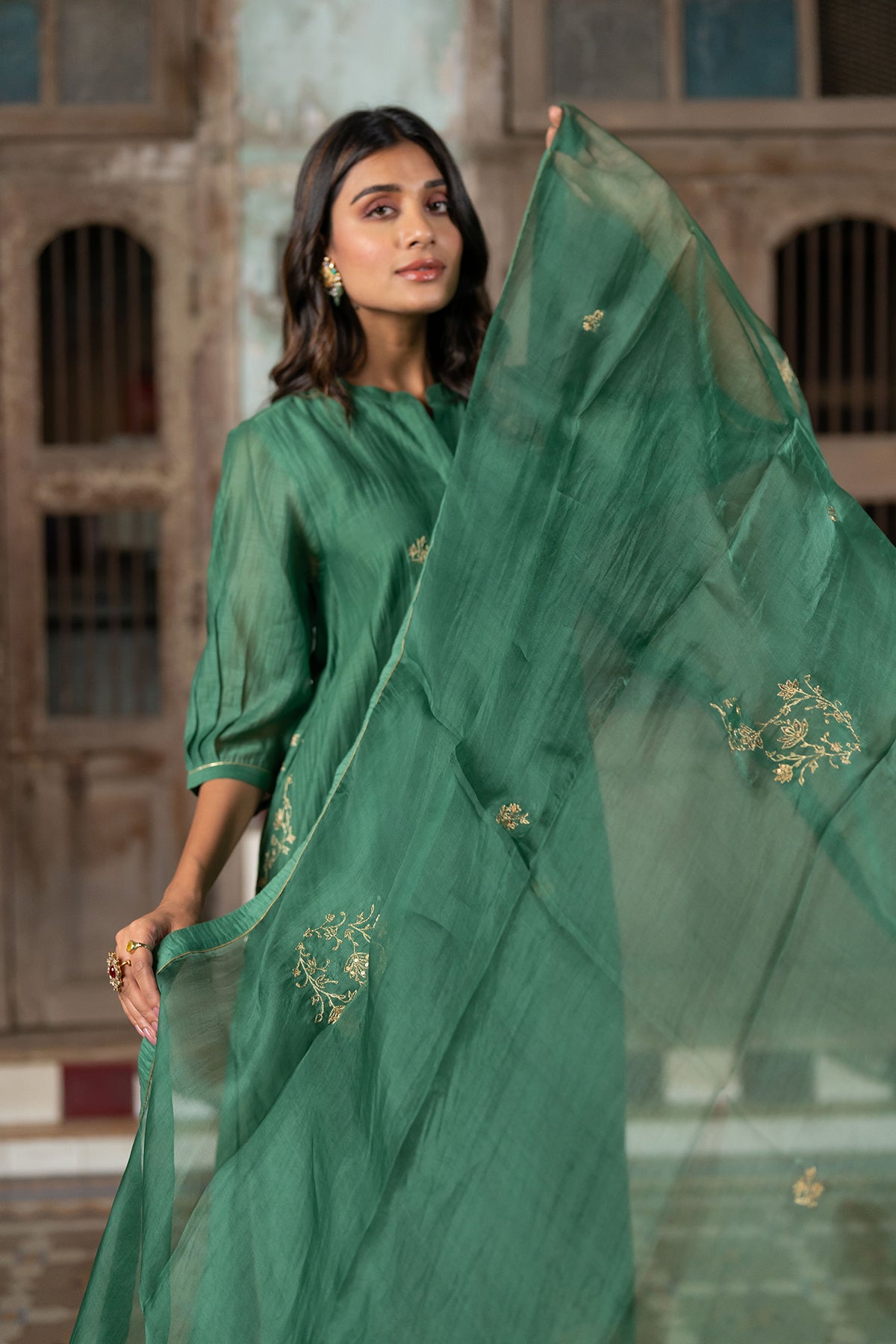 Roshan Silk Organza Dupatta - Green
