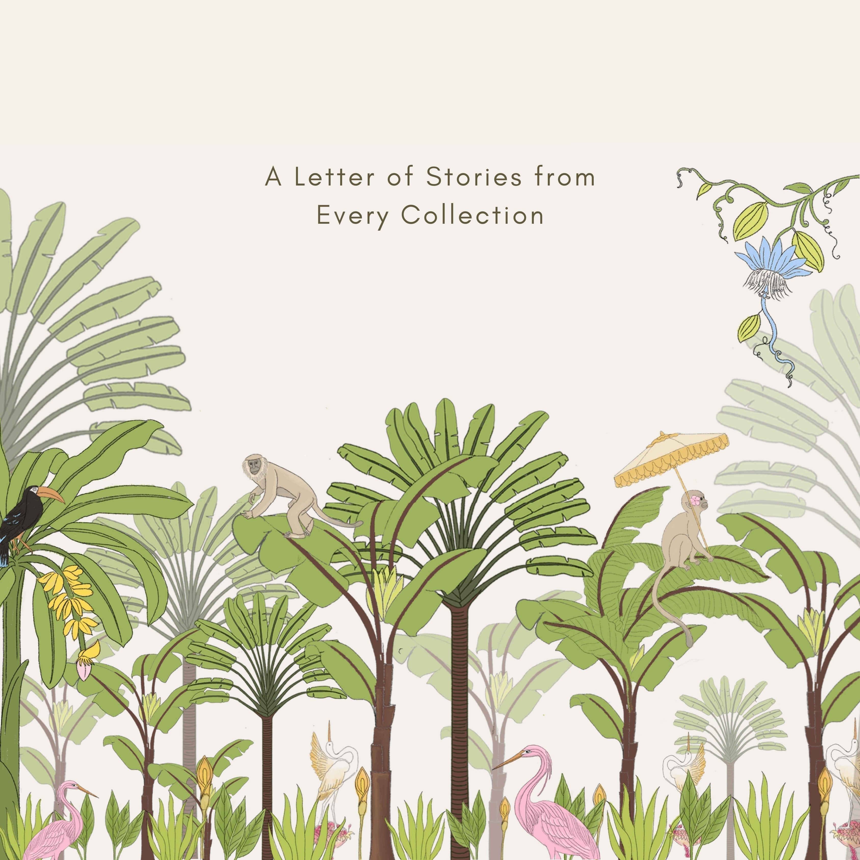 A Letter of Stories — From Every Collection, Crafted to Make Your Celebration Special