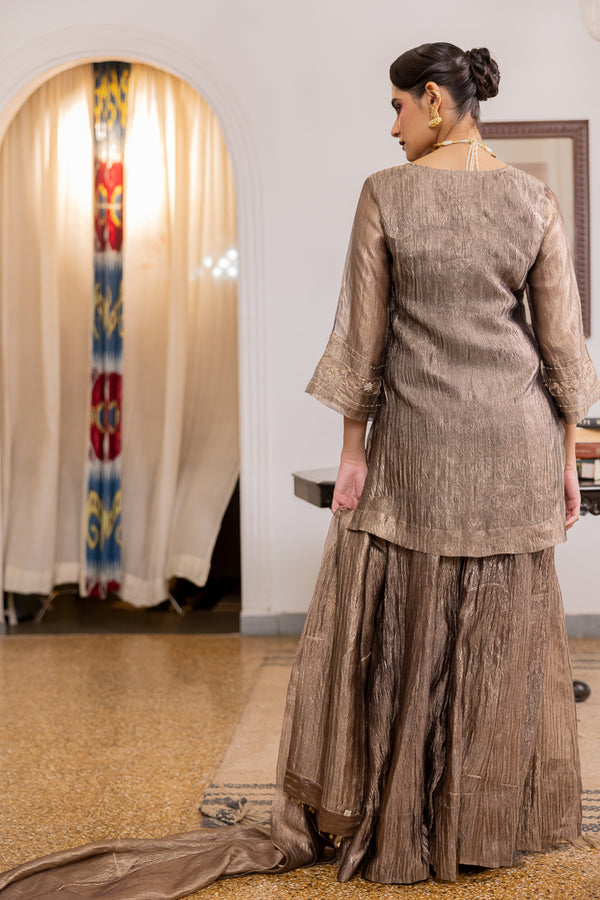 Chandni Sharara Kurta Set