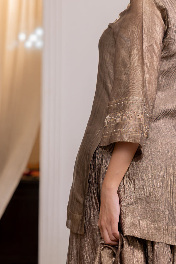 Chandni Sharara Kurta Set