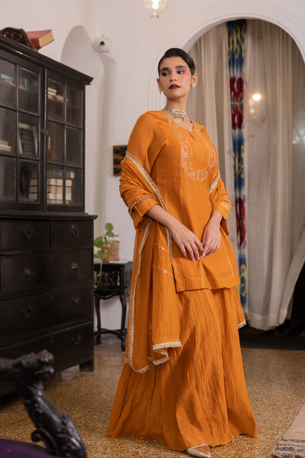 Roshni sharara kurta set