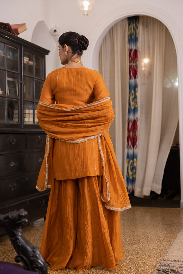 Roshni sharara kurta set