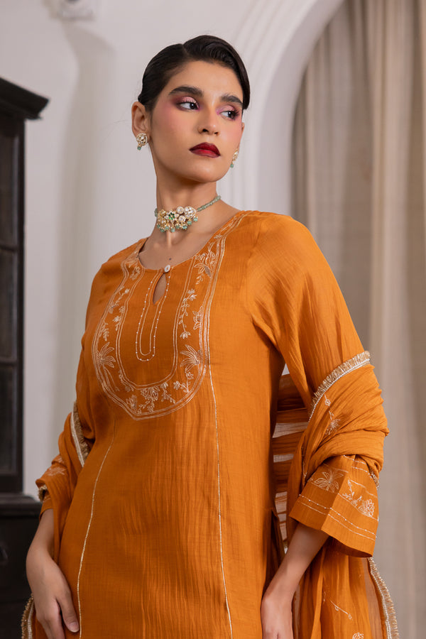 Roshni sharara kurta set