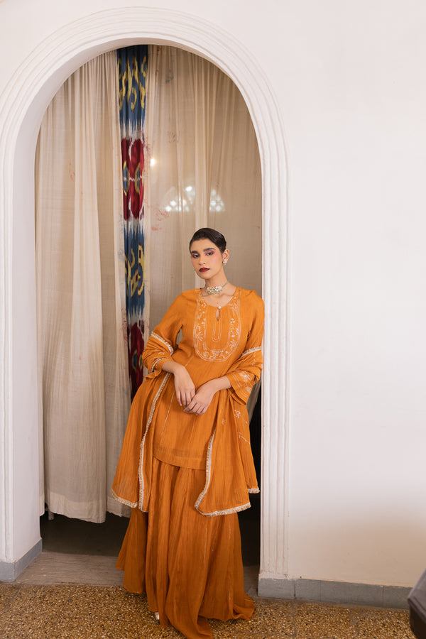 Roshni sharara kurta set