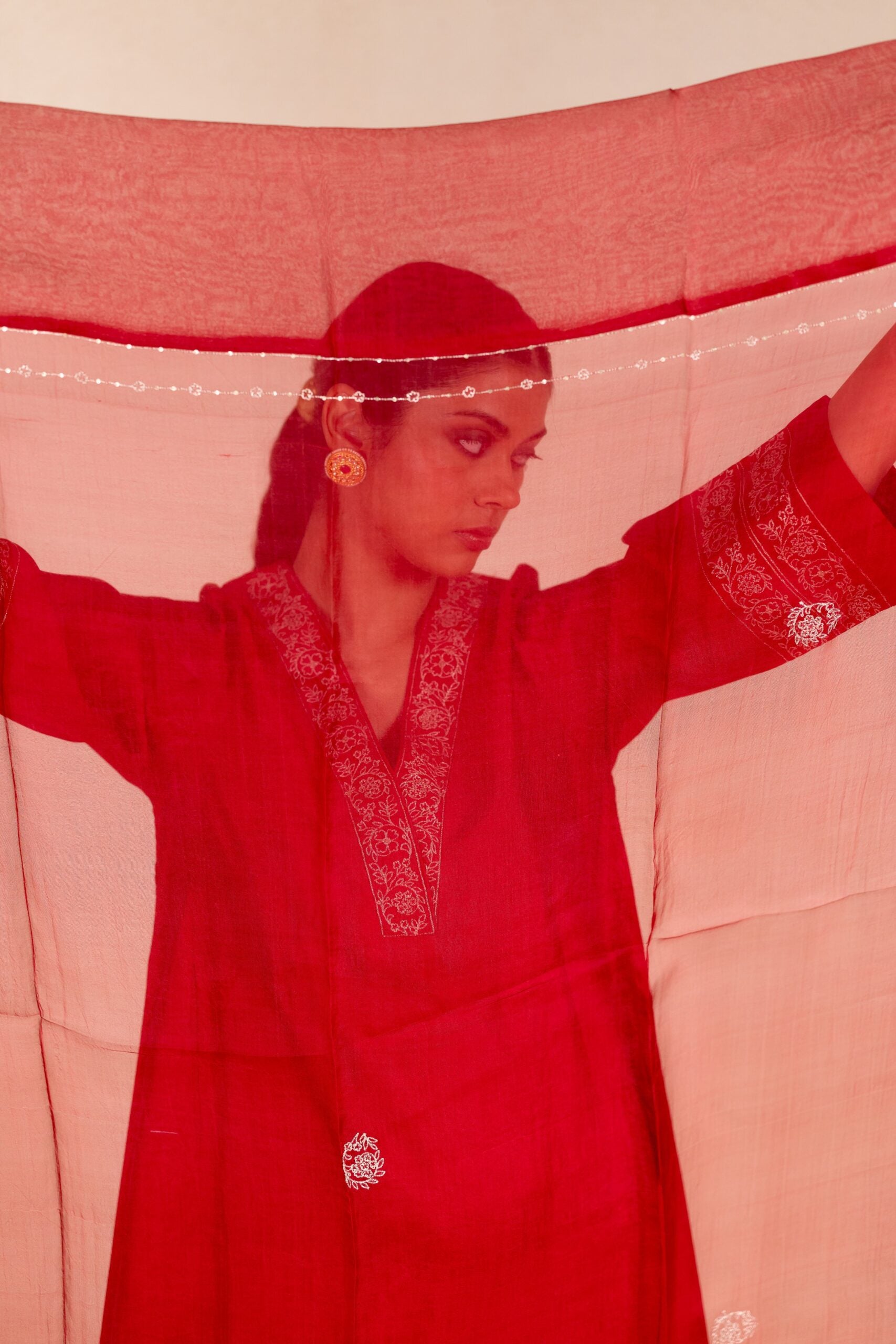 Rajrani Organza Dupatta - Red