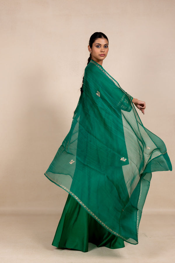 Radhika Organza Dupatta - Green