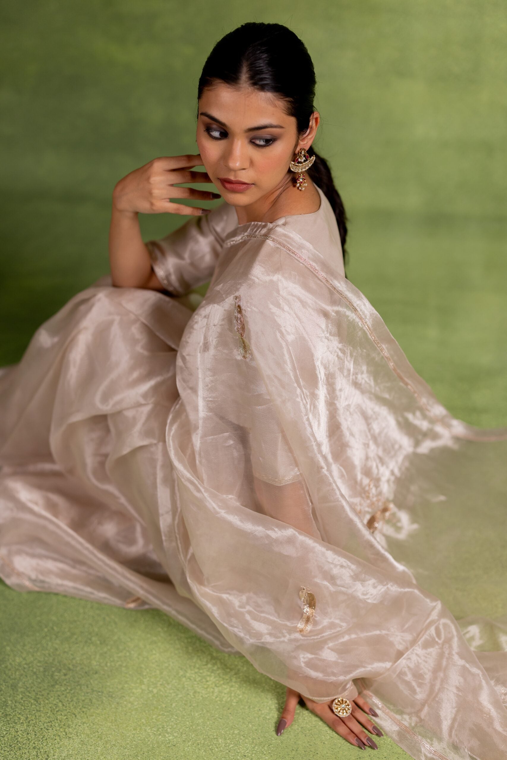 Chandni Tissue Silk Saree - Silver