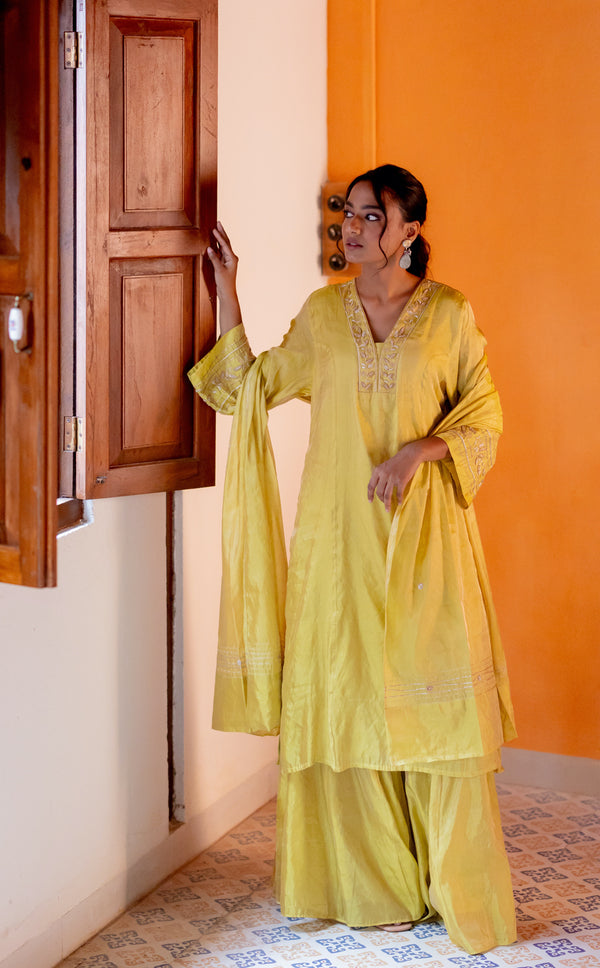 Shrubhi kurta set