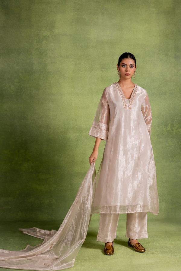 Tissue Silk Dupatta - Silver
