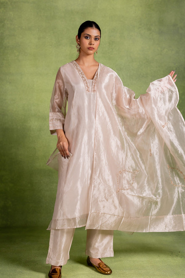 Tissue Silk Dupatta - Silver