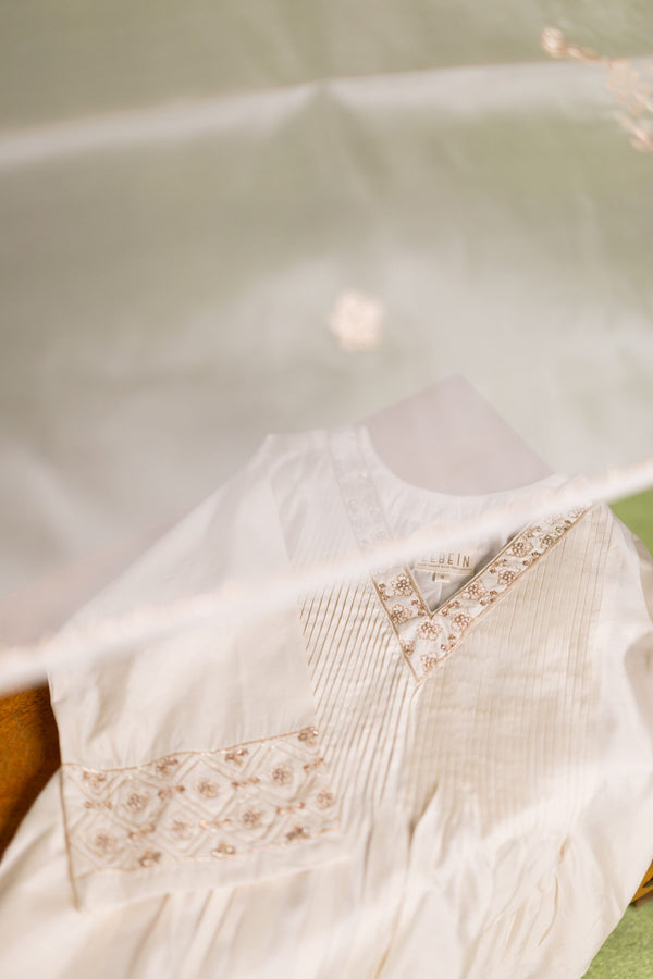 Chandrika Organza Dupatta - Off white