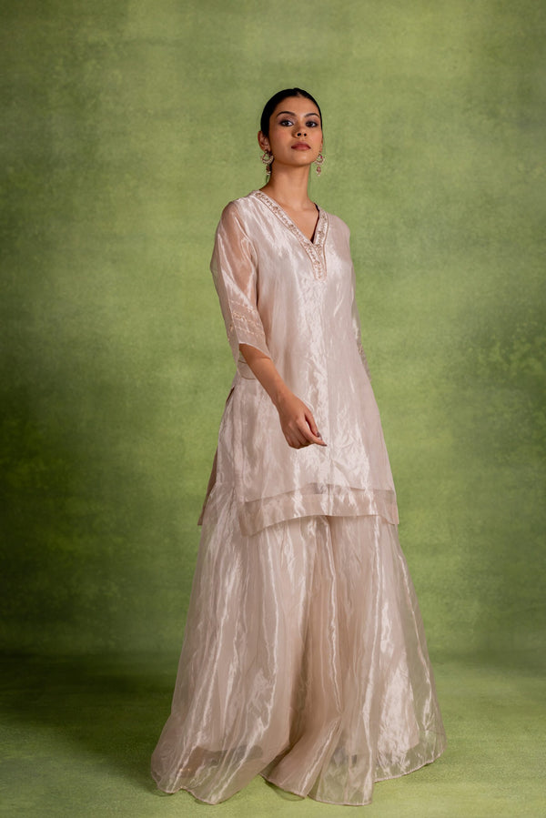 Aabha Tissue Silk Kurta Sharara Set - Silver