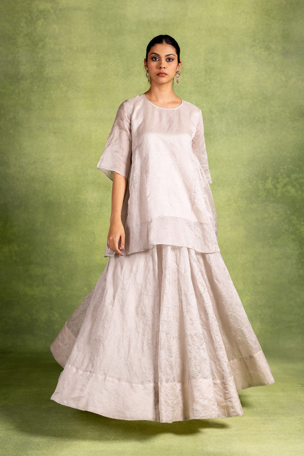 Taara Tissue Skirt - Silver
