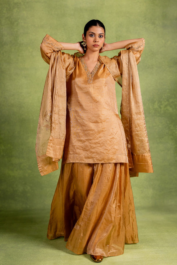 Tissue Dupatta - Golden