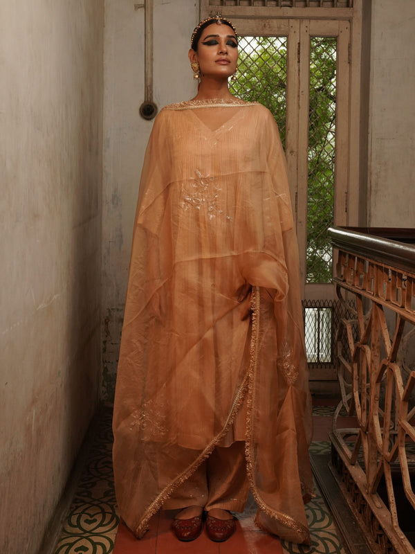 Basant organza Dupatta - Swarn "Beige"